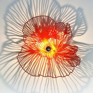 Walllamp , ceiling lamp, poppy, shadow
