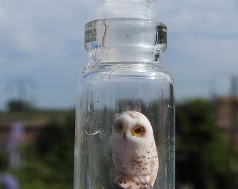 Hand made miniature Snowy owl in a tiny bottle pendant necklace collectable