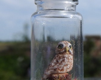 Hand made miniature little owl in a tiny bottle pendant necklace collectable