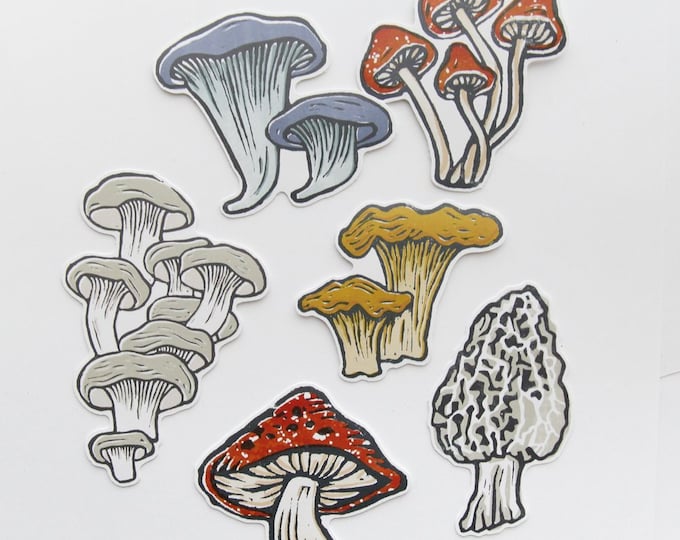 Mushroom Stickers - Six Different Kinds- Collect them all!