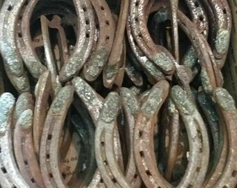 Può includere: Una collezione di ferri di cavallo in metallo usati con una finitura marrone arrugginita e usurata. Ogni ferro di cavallo presenta un design a forma di U con molteplici fori per chiodi lungo i lati e superfici testurizzate e ossidate.
