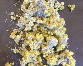 Organic "Life Everlasting" Helichrysum (Helichrysum italicum), 1oz. Dried, High Quality for Metaphysical and Spiritual Use