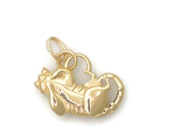 14Kt Gold  Tabby Cat Charm by Donna Pizarro from her Animal Whimsey Collection of 14K Cat Charms, Gold Cat Charms & Gold Cat Jewelry