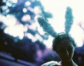 azul de orejas - (abrigo de la lona)