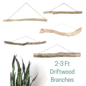 May include: Five light brown driftwood branches, each featuring a thin string attached to both ends for hanging. The branches vary in shape and texture, ranging from straight to curved. Text in the image reads 2-3 Ft Driftwood Branches.