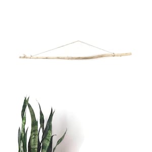 58" Long, Mostly Straight Driftwood Branch