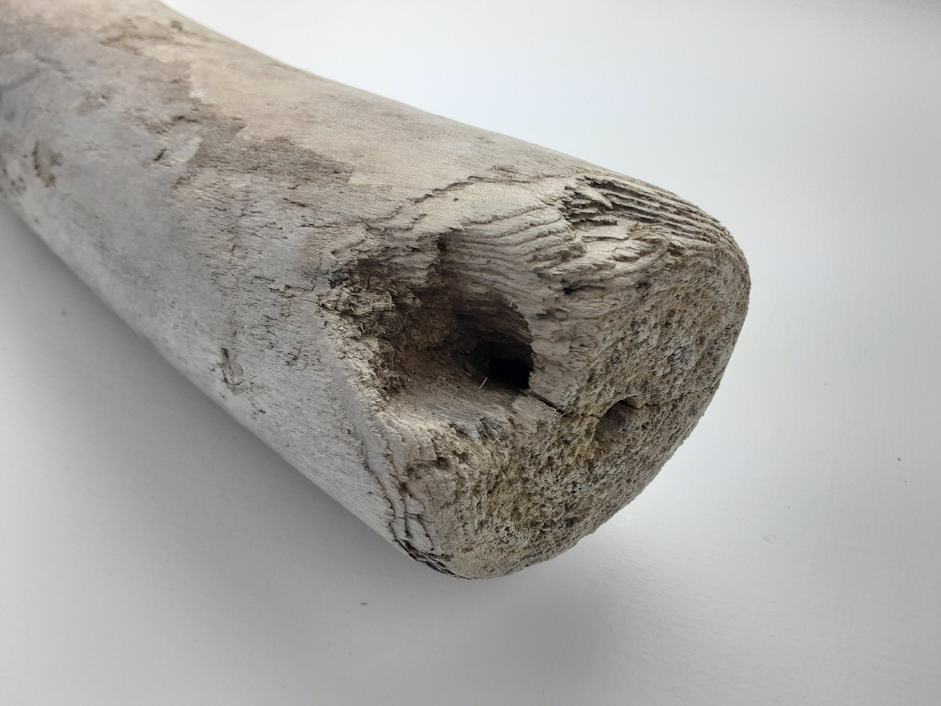 Large Smooth Silver Driftwood Log 34 1/2 Long Etsy