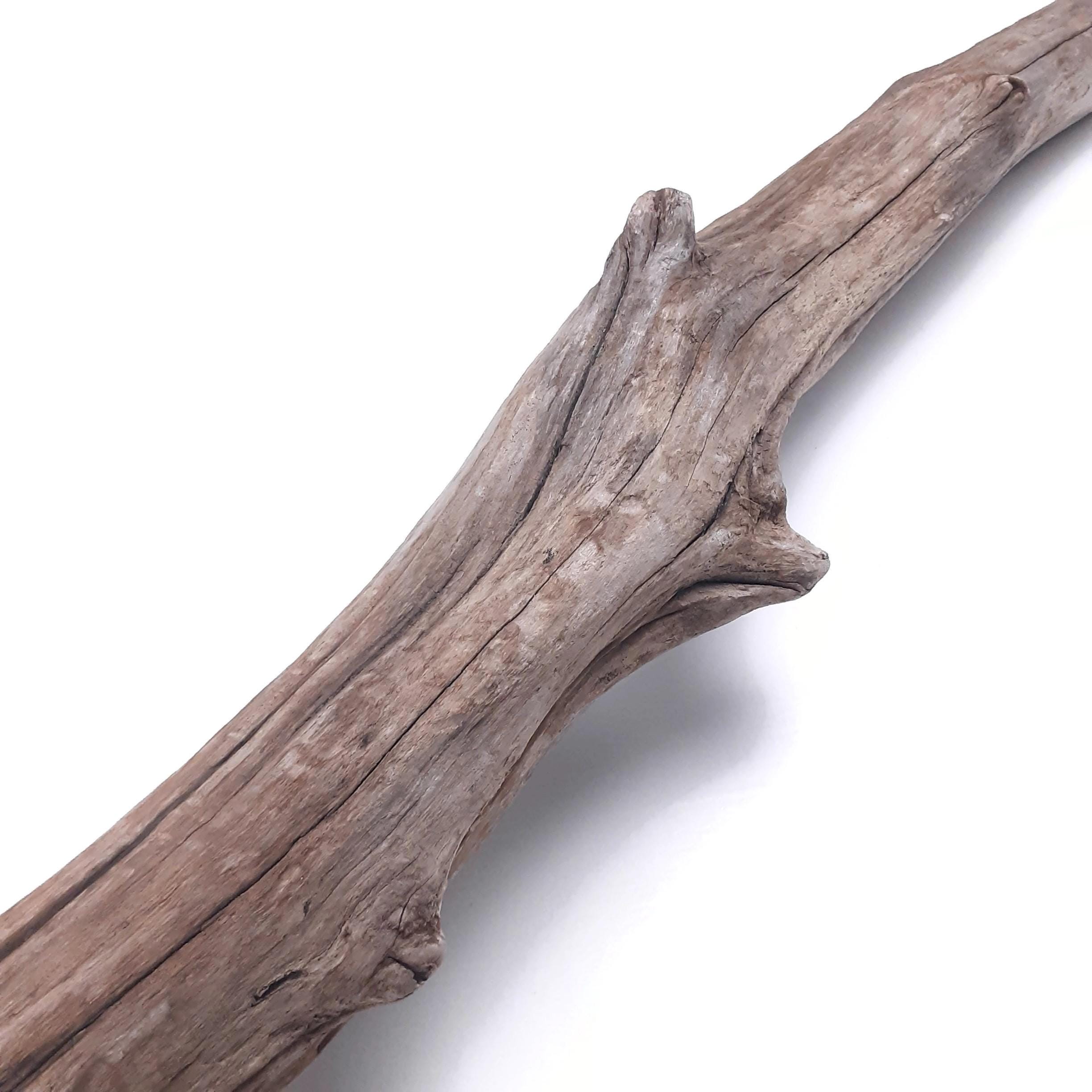 63" XL, Very Thick, Curvy Driftwood Branch