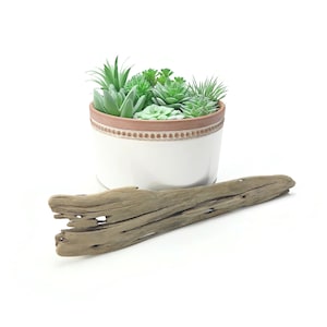 May include: A white ceramic planter with a terracotta-colored rim featuring a beaded texture, filled with various green artificial succulent plants, accompanied by a piece of weathered, light brown driftwood placed in front of the planter.