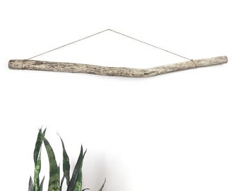 48" Thick, Curved Driftwood Branch With Mottled Colors