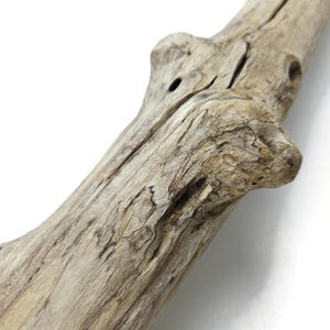 May include: A piece of weathered driftwood with a light tan and grey color palette. The surface features a rough, organic texture with visible wood grain, deep natural cracks, and a prominent knot protruding from the side of the branch.