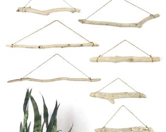 1-2 Foot Long Driftwood Branch - Choose Your Favorite!