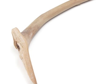 38" Curved Driftwood Branch With Big, Knobby Tip