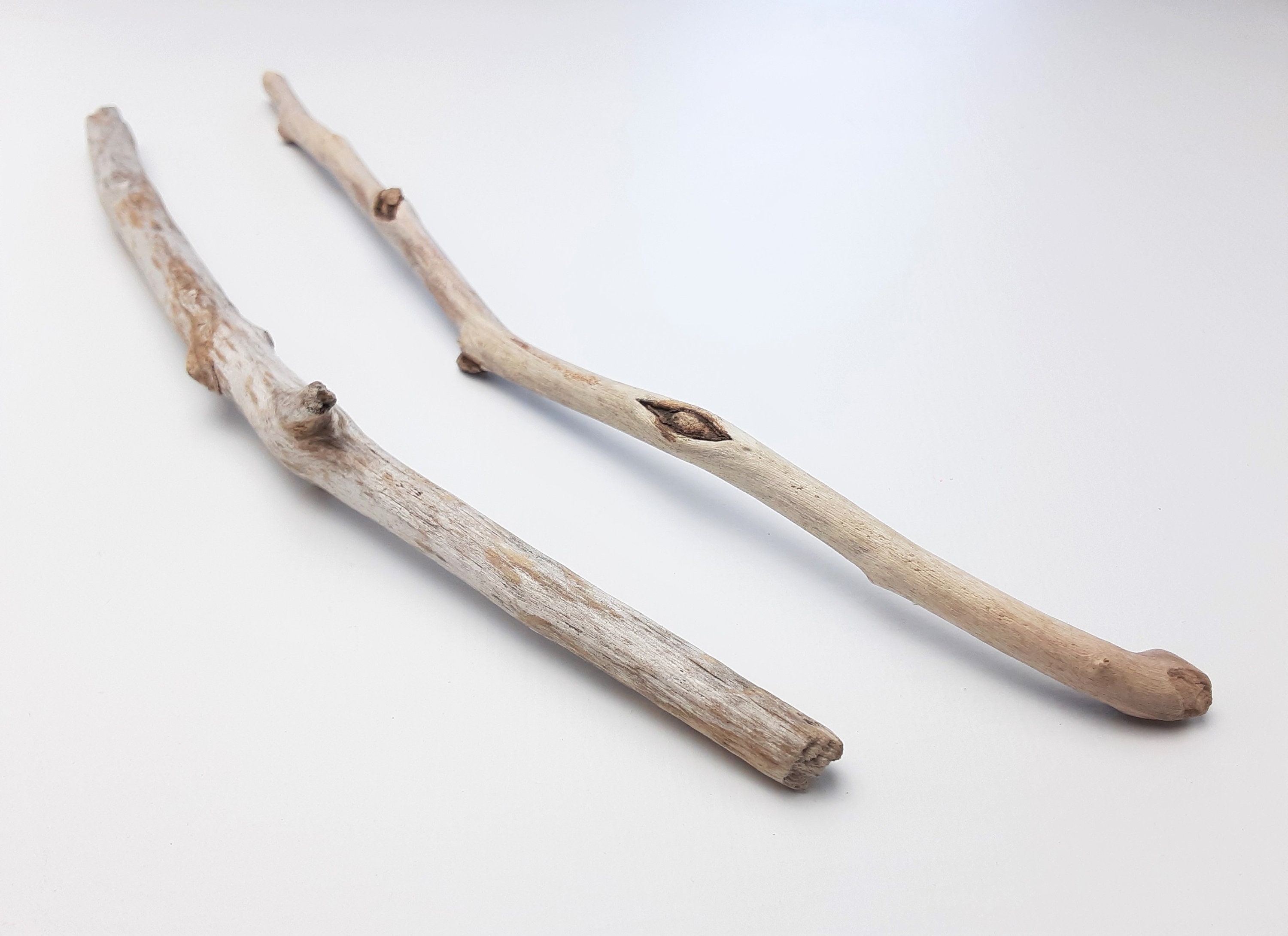 2 Small Curved Driftwood Branches 10.512 Long Etsy