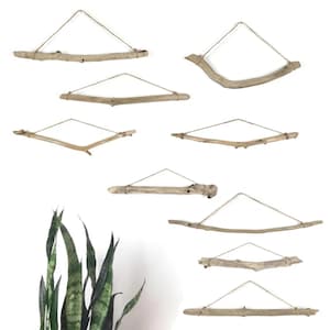 1-2 Foot Long Driftwood Branch - Choose Your Favorite!