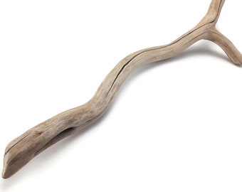 51.5" Gorgeous, Curvy Driftwood Branch