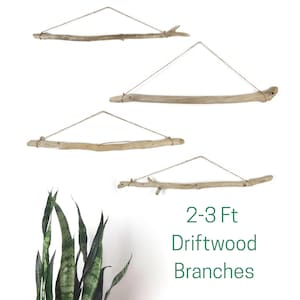 May include: Four driftwood branches, each suspended by twine, against a white background. The branches vary in shape and size, with natural wood tones. Text on the right reads "2-3 Ft Driftwood Branches."