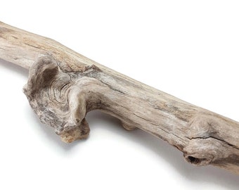 26.5" Thick Driftwood Branch With Big, Bulbous Bumps