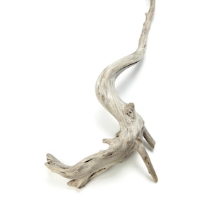 May include: A single piece of weathered driftwood with a light gray, sun-bleached appearance. The wood features a distinct, organic S-shaped curve, a textured surface with natural knots, and several small, pointed branch-like protrusions.