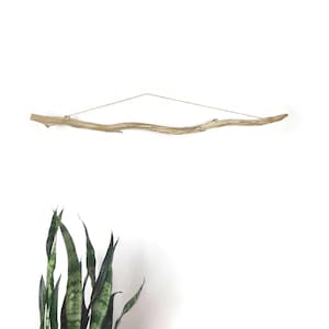 May include: A natural driftwood branch suspended by a thin wire against a white wall. The branch is light brown with a curved shape. Green and white plant leaves are visible in the lower portion of the image.
