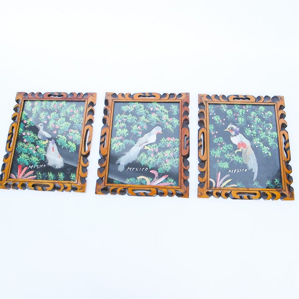 Bird Feather Art From Mexico  in Hand Carved Wood frames with Glass (3 Available - Sold Separately)