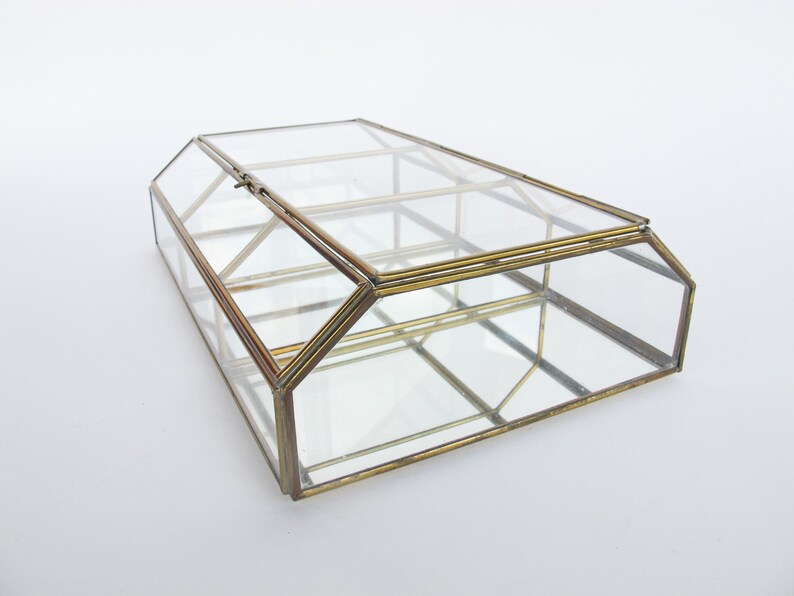 Mirrored Hanging Display Box Plant Terrarium image 6