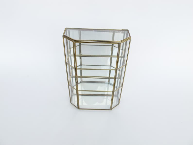 Mirrored Hanging Display Box Plant Terrarium image 1