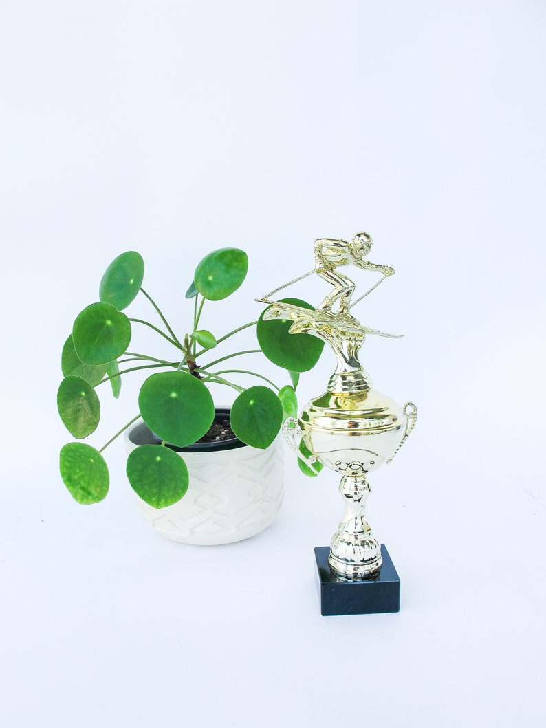 Ski Trophy on Black Marble Base