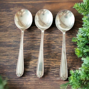 Lot Of 3 National Silver Co EPNS Spoons, NS Co EPNS Serving Spoons,   Silver Plate Spoons