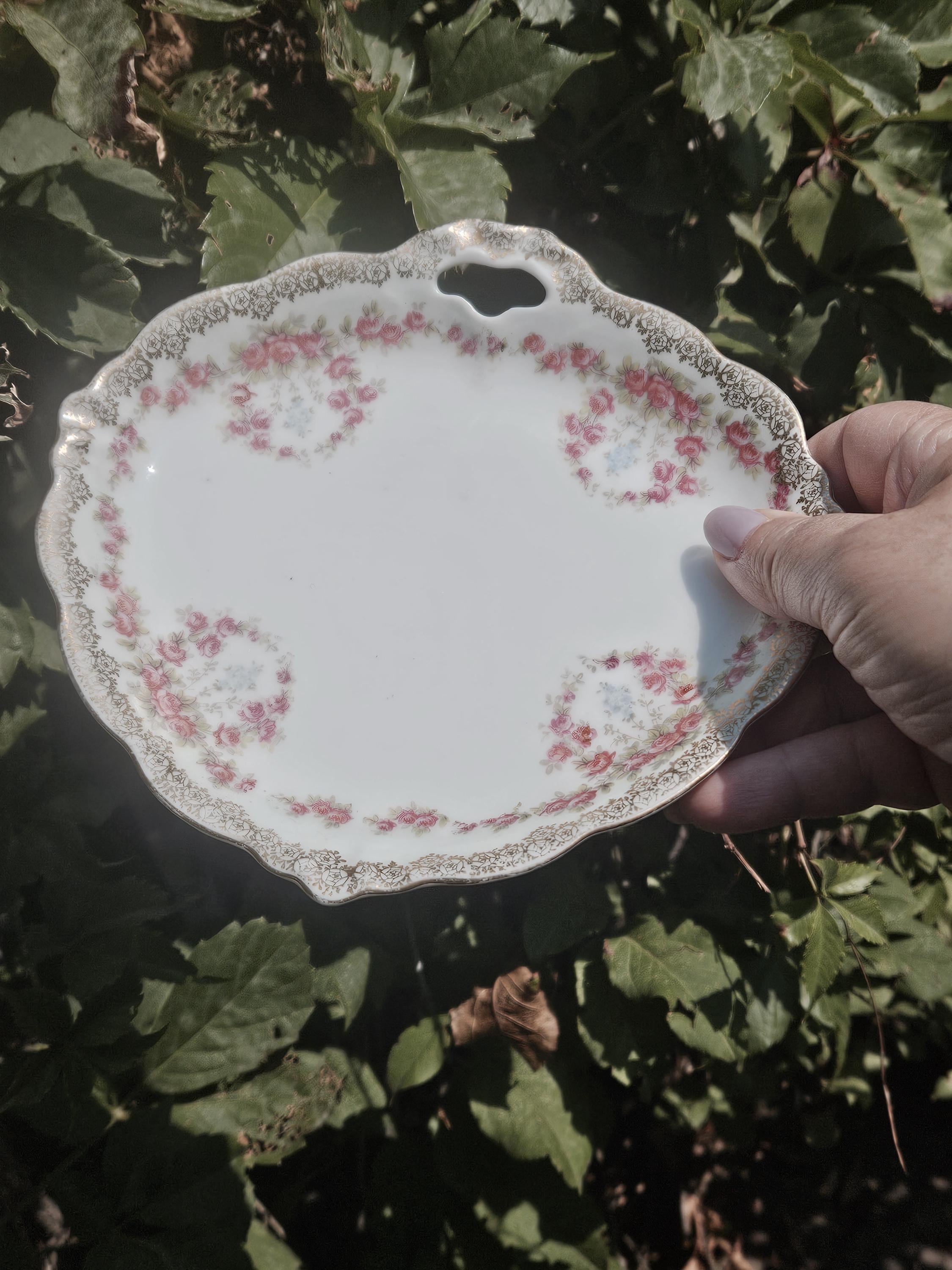 Antique J&C Bavaria Porcelain Dish, Hand Painted Rose Floral