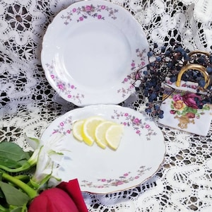 2 Vintage Wawel China Plates From Poland Floral Design Plates By Wawel Polish China Plates Gilded Rim Plates
