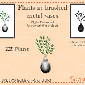 ZZ Plant Oval Brushed Metal vase Vector Plant Digital Download image 1