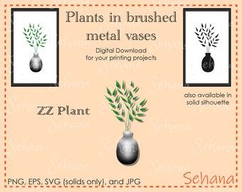 ZZ Plant Oval Brushed Metal vase Vector Plant Digital Download