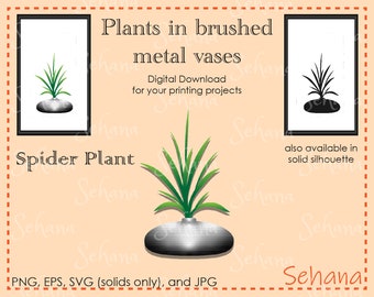 Spider Plant Flat Oval Brushed Metal vase Vector Plant Digital Download