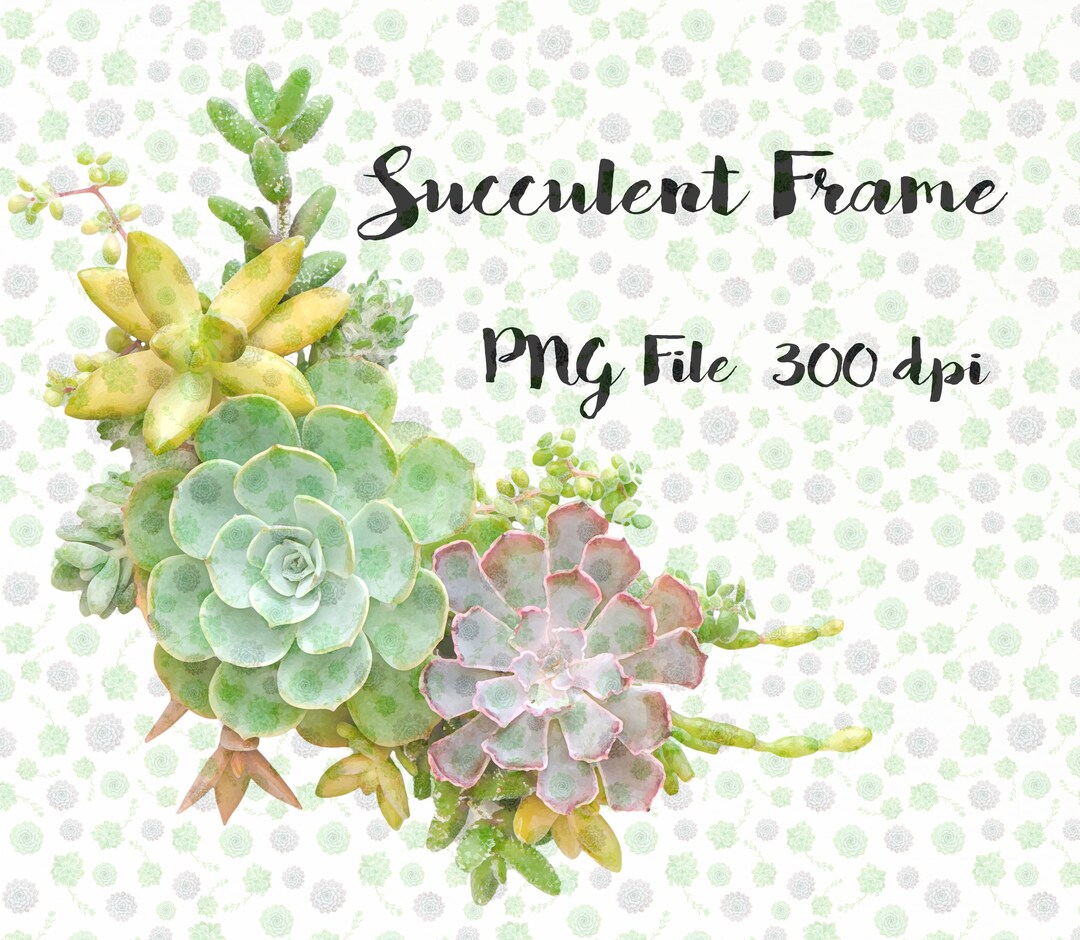 Succulent Frame Clipart PNG 300 Dpibotanical Succulents - Etsy