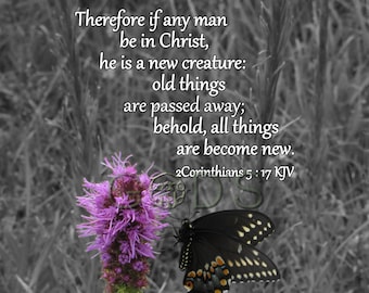 2Corinthians 5:17, KJV, Scripture Picture, Butterfly, Floral Photography, Newness, New Creature, New Testament Verse, Scripture Photo