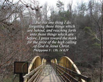 Philippians 3:13b, 14 KJV, Scripture Picture, Scripture Photo, Bridge, Trees, Walkway, Arab, Alabama, New Testament Verse, Christian Art