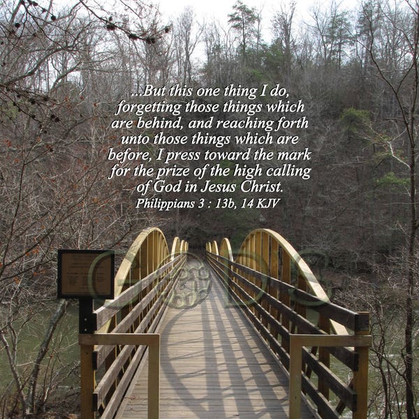 Philippians 3:13b, 14 KJV, Scripture Picture, Scripture Photo, Bridge, Trees, Walkway, Arab, Alabama, New Testament Verse, Christian Art