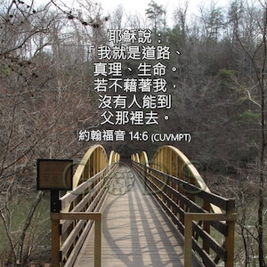 John 14:6, CUVMPT, Chinese Version, Scripture Picture, Jesus, The Way, The Truth, The Life, Wooden Bridge, Arab AL ,New Testament Verse