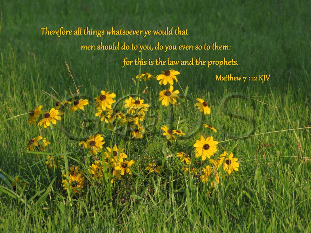 Matthew 7 12 KJV Scripture Picture The Golden Rule Scripture Photo matthew-7-12-kjv-scripture-picture-the-golden-rule-scripture-photo