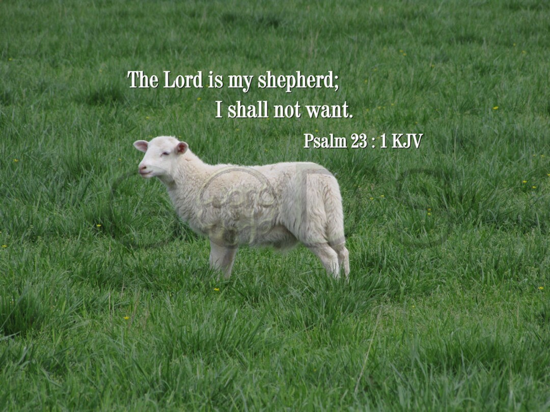 Psalm 23:1, KJV, Scripture Picture, Lord My Shepherd, No Want
