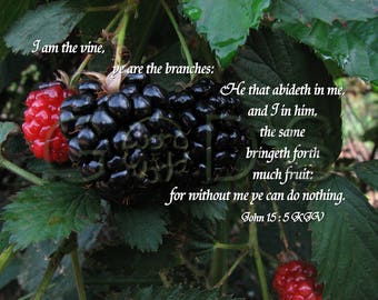 Scripture Picture, John 15:5, KJV, Scripture Photo, Blackberries, Vine, Branches, New Testament Verse, Nature Photography, Fruit, Item 29