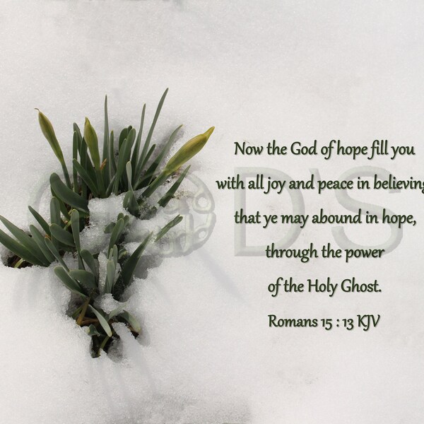 Romans 15:13, KJV, Scripture Picture, Daffodils, Snow Scene, God of Hope, Joy, New Testament, Scripture Photo, Scripture Wall Art