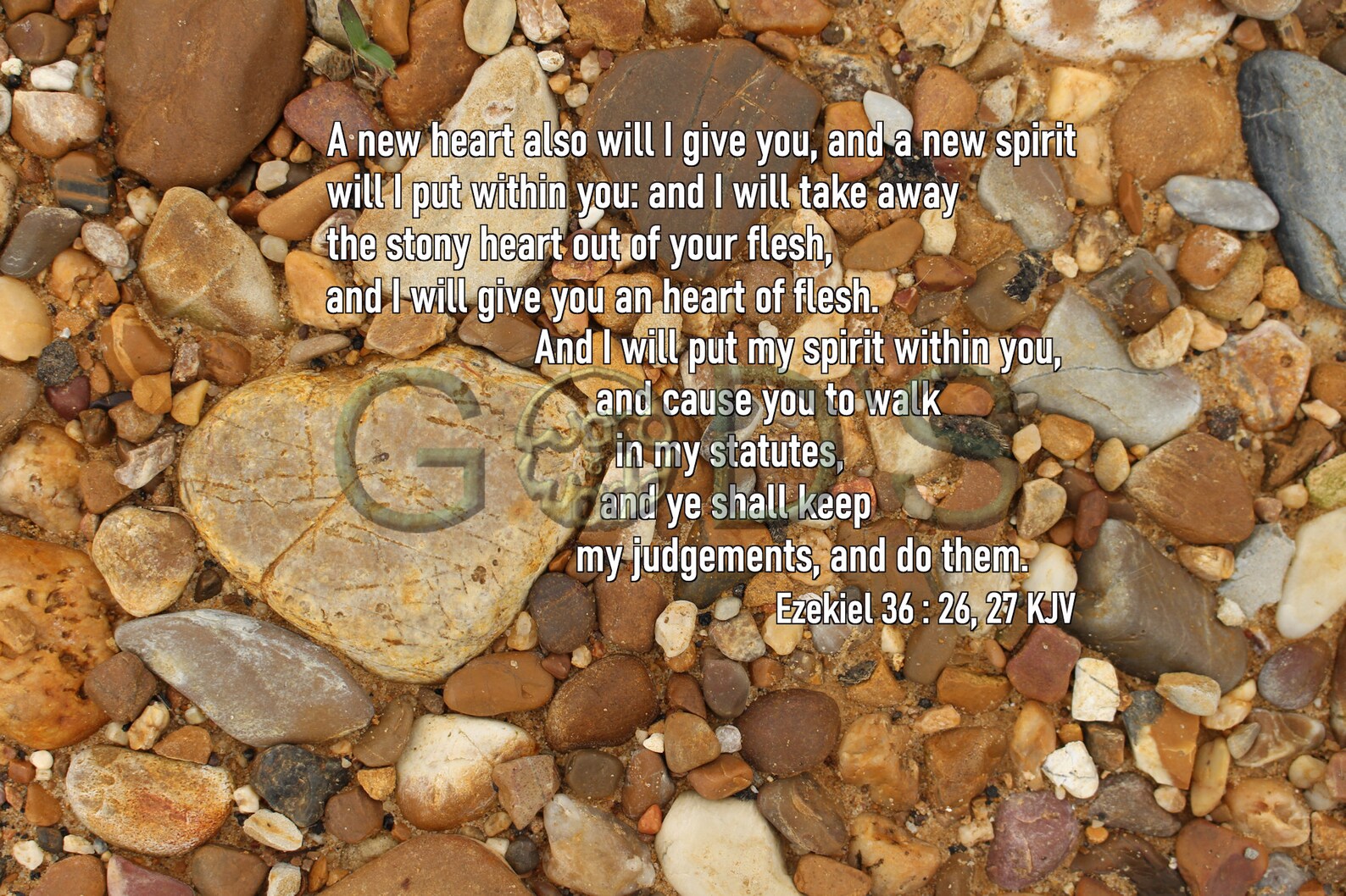 Ezekiel 36 26 27 KJV Scripture Picture Stony Heart Heart Of Flesh ezekiel-36-26-27-kjv-scripture-picture-stony-heart-heart-of-flesh