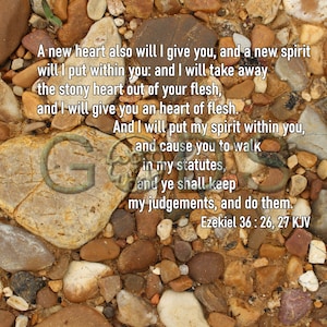 May include: A heart-shaped rock with the word "God" inscribed on it, surrounded by smaller rocks. The text "A new heart also will I give you, and a new spirit will I put within you: and I will take away the stony heart out of your flesh, and I will give you an heart of flesh. And I will put my spirit within you, and cause you to walk in my statutes, and ye shall keep my judgements, and do them. Ezekiel 36: 26, 27 KJV" is written on the rocks.