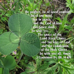 May include: A green clover leaf with a bible verse printed on top. The verse is from 2 Corinthians 13:11b, 14 KJV. The verse reads: "Be perfect, be of good comfort, be of one mind, live in peace; and the God of love and peace shall be with you. The grace of the Lord Jesus Christ, and the love of God, and the communion of the Holy Ghost, be with you all. Amen."