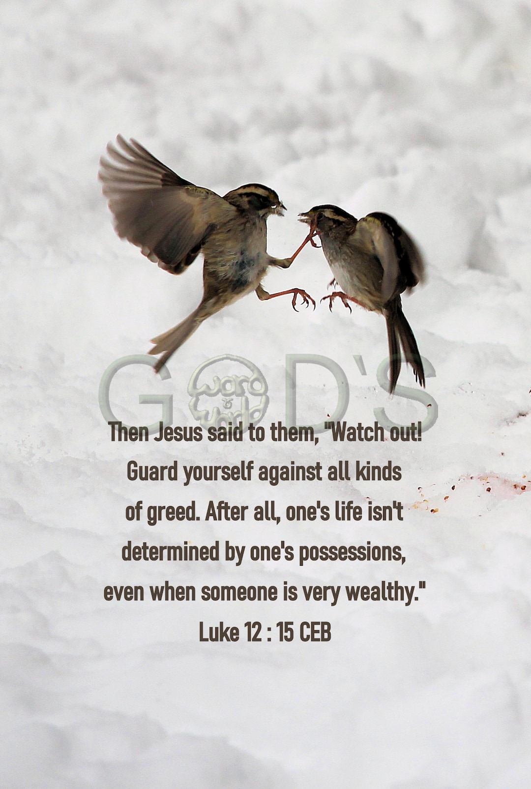 Luke 12:15, CEB, Scripture Photo, Birds, Snow - Etsy