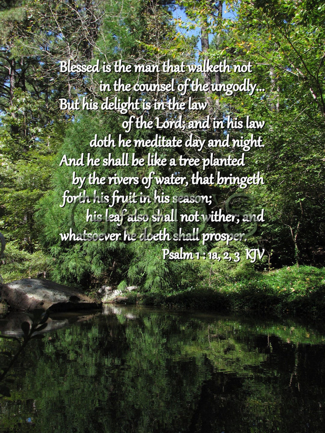Psalm 1 1a 2 3 KJV Scripture Picture Delight Garvan Woodland 