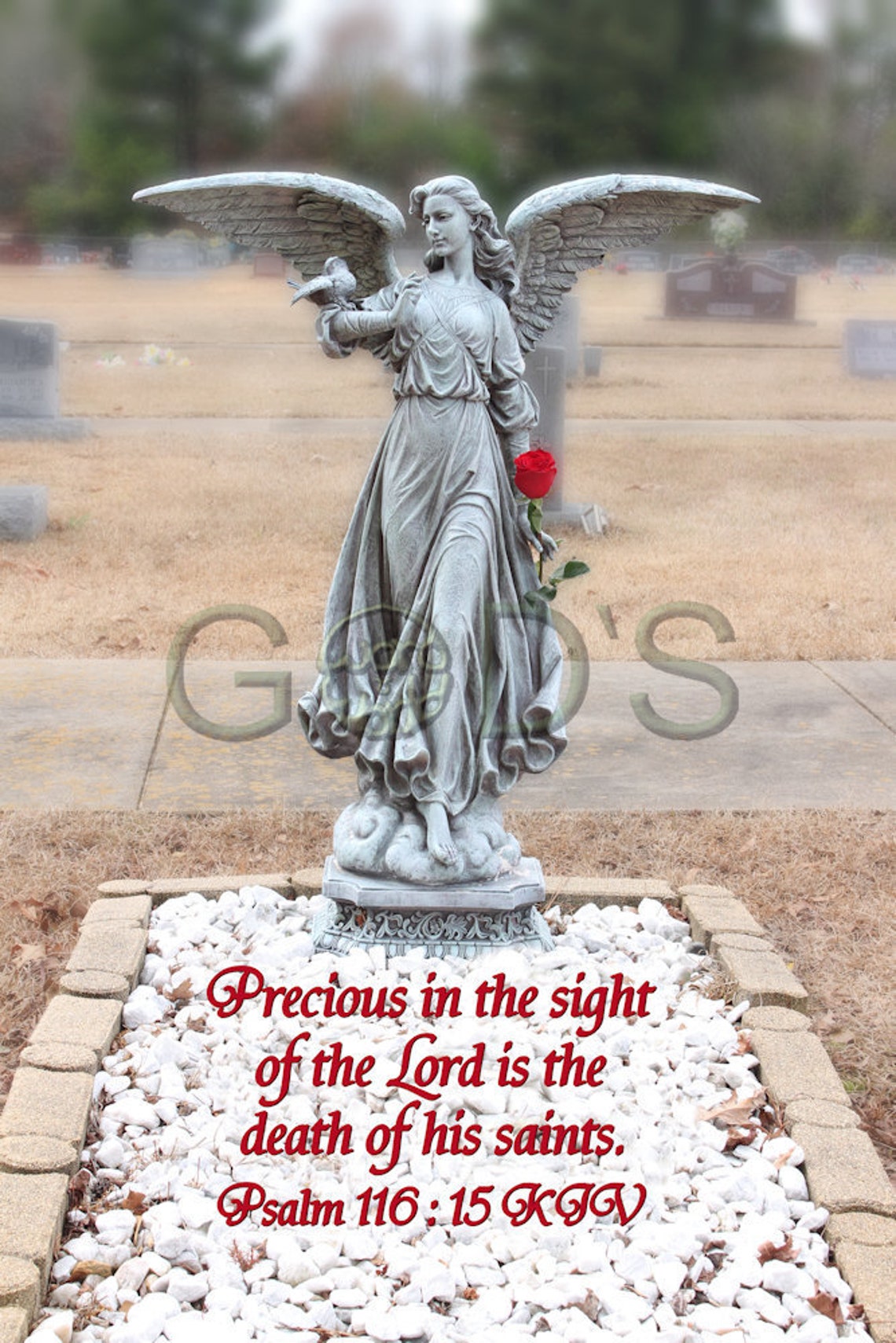 Psalm 11615, KJV, Scripture Picture, Stone Angel, Red Rose, Old