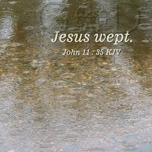 Puede incluir: Una foto de un charco de agua con ondas de gotas de lluvia. El texto "Jesus wept. John 11:35 KJV" est&aacute; superpuesto a la imagen.